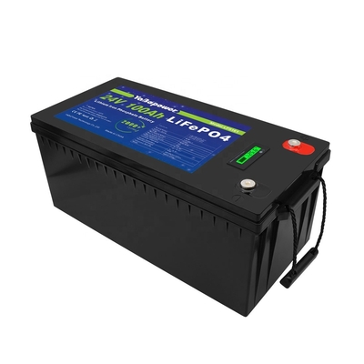 100Ah 150Ah 200Ah 300Ah 24v Lifepo4-batterij met Bms